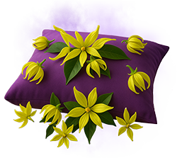 Parfém na praní Giovani YLANG-YLANG