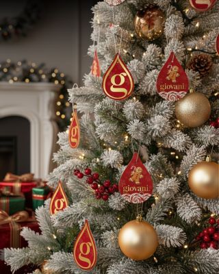 ✨🌲 Když se vůně stane součástí výzdoby! Dopřejte svému domovu dotek Giovani® a vychutnejte si Vánoce, které voní elegancí,...